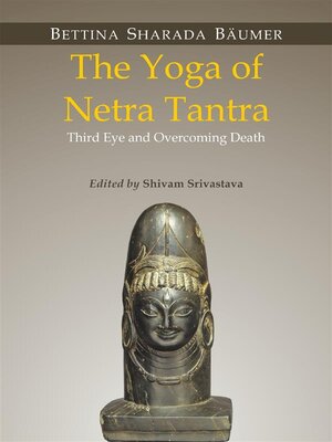 cover image of The Yoga of Netra Tantra